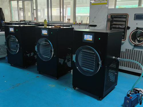 小型水果凍干機(jī)