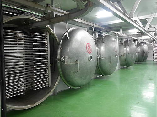 FD水產凍干機