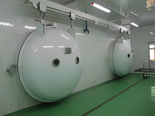 FD中藥材凍干機